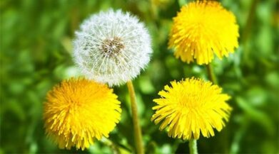 a papillómák eltávolításának módszerei népi gyógymódokkal